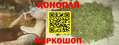 СК Дубна