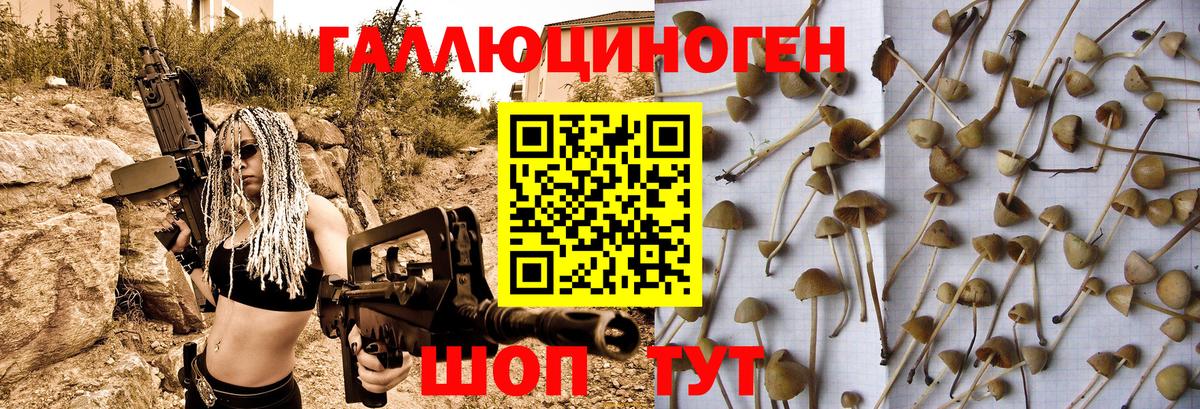 Лосино-Петровский  Псилоцибиновые грибы ЛСД  Вход с VPN  Псилоцибиновые грибы ЛСД 